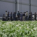 금산농산 | 2025 농수산물 온라인 도매시장 산지팸투어 1회차 (경북) 후기