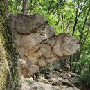 ◈ 제822차 충북 괴산 / 칠보산(七寶山·779ｍ) 쌍곡계곡 ◈산행기 이미지