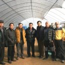 박상구 농장 이미지