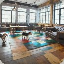 메리트연립(내) | 행신 포메라니안분양 전문가 시선으로 본 선택 기준