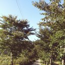 금계모텔 이미지