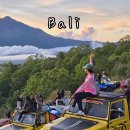 추자동 산8-1 | 발리 지프투어 가이드 신혼 여행 일정 준비물 옷차림 바투르산 일출 온천 후기