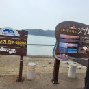 님바래기