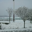 마산초등학교병설유치원 이미지