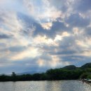 호암지낚시터 이미지