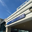 42번국도 | 송내역맛집 &#39;모든불쭈꾸미&#39; 솥밥과 함께 즐기는 쭈꾸미정식 추천 후기