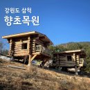리틀 포레스트 펜션 | 강원도 삼척 향초목원 펜션 리틀포레스트 미니 예약방법 및 후기