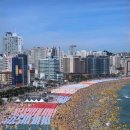 안녕초등학교 이미지