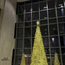 대규미나리 이미지