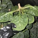 한얼농장 이미지