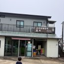 신효 | 제주 서귀포시 - 탐나는식당 몸국 고사리해장국 신효점 아기랑 내돈내산 후기