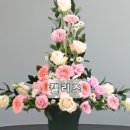 캘리즈 플라워 앤 스쿨