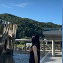 제리슈즈