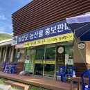 백야자연휴양림 오토캠핑장 이미지