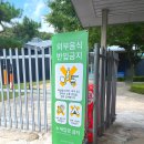 씨스페이스 월배파크점 | 가나아트파크 물놀이터 어린이 체험 스타벅스 양주 장흥 가볼만한곳 아이랑