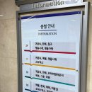 예사랑 | 명가대남예사랑한복 종로점 내돈내산 대여후기(feat. 착용샷을 모아모아)