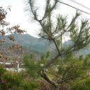 원지농원 이미지