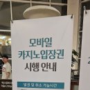 강원랜드 2박3일 총정리 이미지