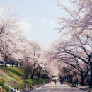 수안보온천길 이미지