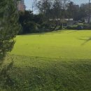 프라자 골프 연습장 이미지