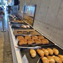 프롬나드 | 여수 대형 식물원 카페 프롬나드 후기