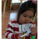 에델바이스어린이집 이미지