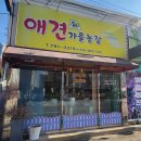 애견가을농장 이미지