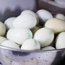 순천청계농장 이미지