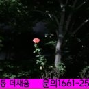 더채움비지니스 이미지