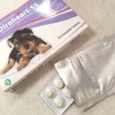 사랑플러스 동물약국 이미지