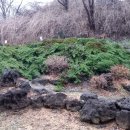 김효정공인중개사사무소 이미지