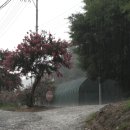 일만농장 이미지