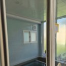 마리애견 | 체리몽애견풀빌라 내돈내산 세마리후기