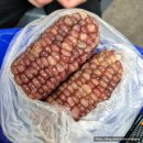 산돼지부식