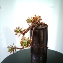 옹기의 만남 이미지