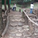 풀내음농장 이미지