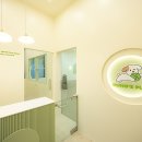 데이멍스 이미지