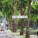 서구청소년수련관 주차장 이미지