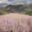 명신당 이미지