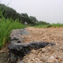 시골나그네민박 이미지