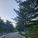 측백장어 | 포천 1급수 계곡 산정호수 돌고래캠핑장 동굴존 명당사이트 후기 및 전 사이트 참고하세요!