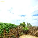 애월숲에102 | 💎 제주 애월숲에 102 | 평점 9.6의 감동, 힐링 스테이🌿 #제주여행 #애월숙소