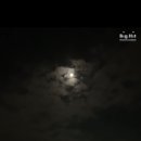 세월낚시
