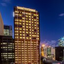 넥스트 호텔(Next Hotel) 이미지