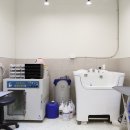 헬로멍멍 이미지