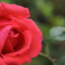 시크릿아쿠아