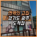 면역의고집도척점
