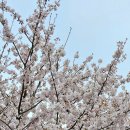 대륜세탁소 이미지