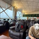 806 | 톈진(천진) 국제공항 라운지 &amp; KE806 기내식 후기