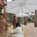 수영가든 이미지